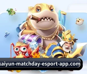 开云官网 APP